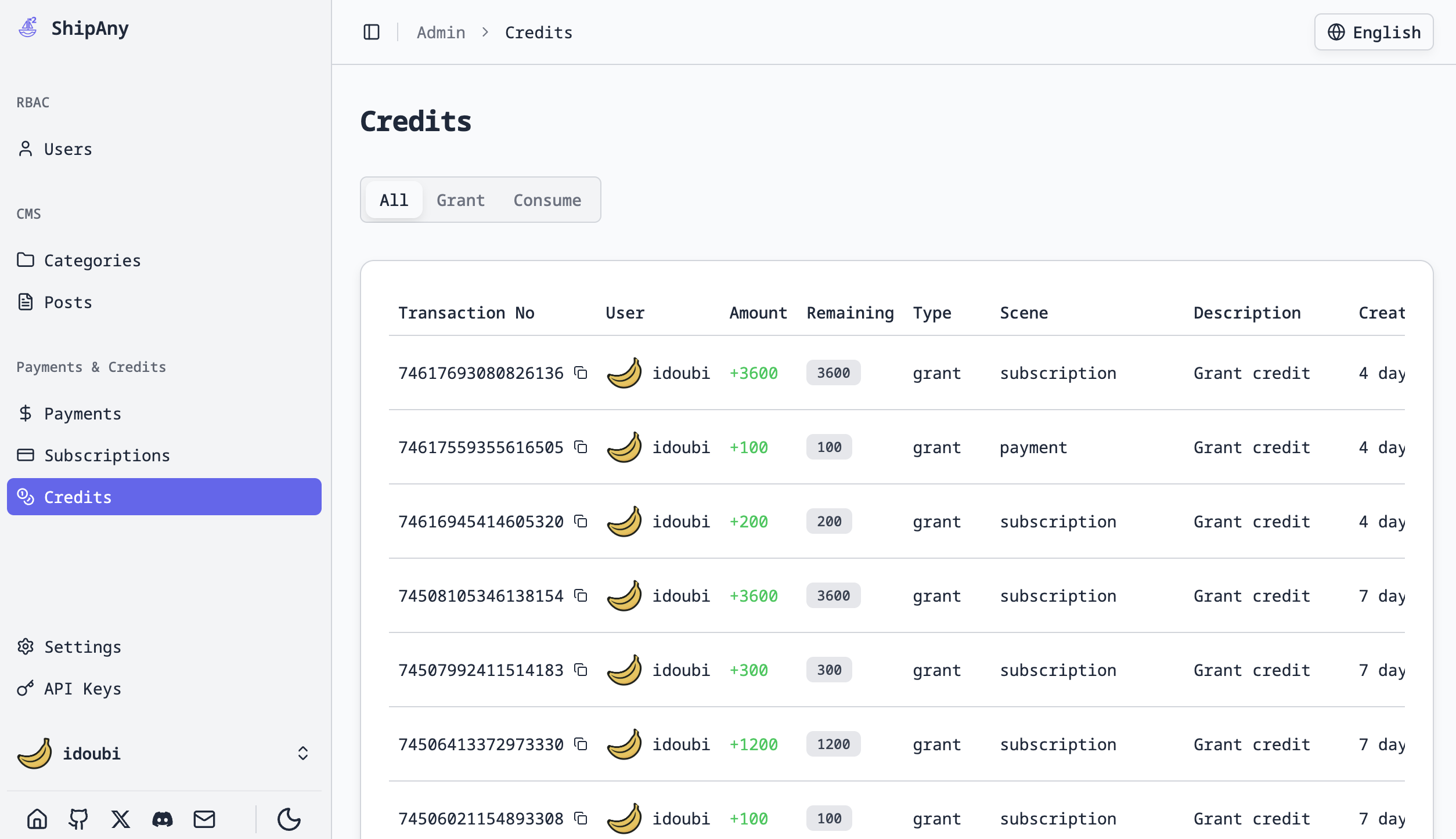 ShipAny Template Two preview 4