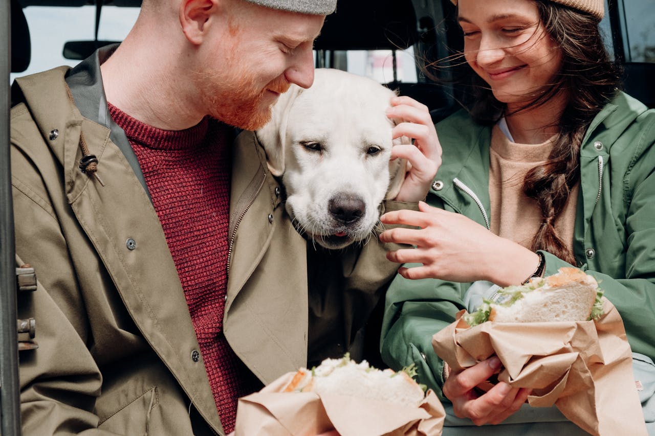 Original photo of a couple sitting in a car with a white Labrador, holding sandwiches